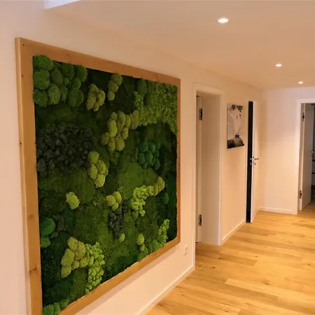 Ferdis Apartment Reit im Winkl
